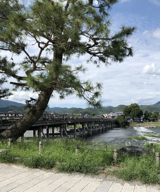 ファイル 2556-1.jpeg