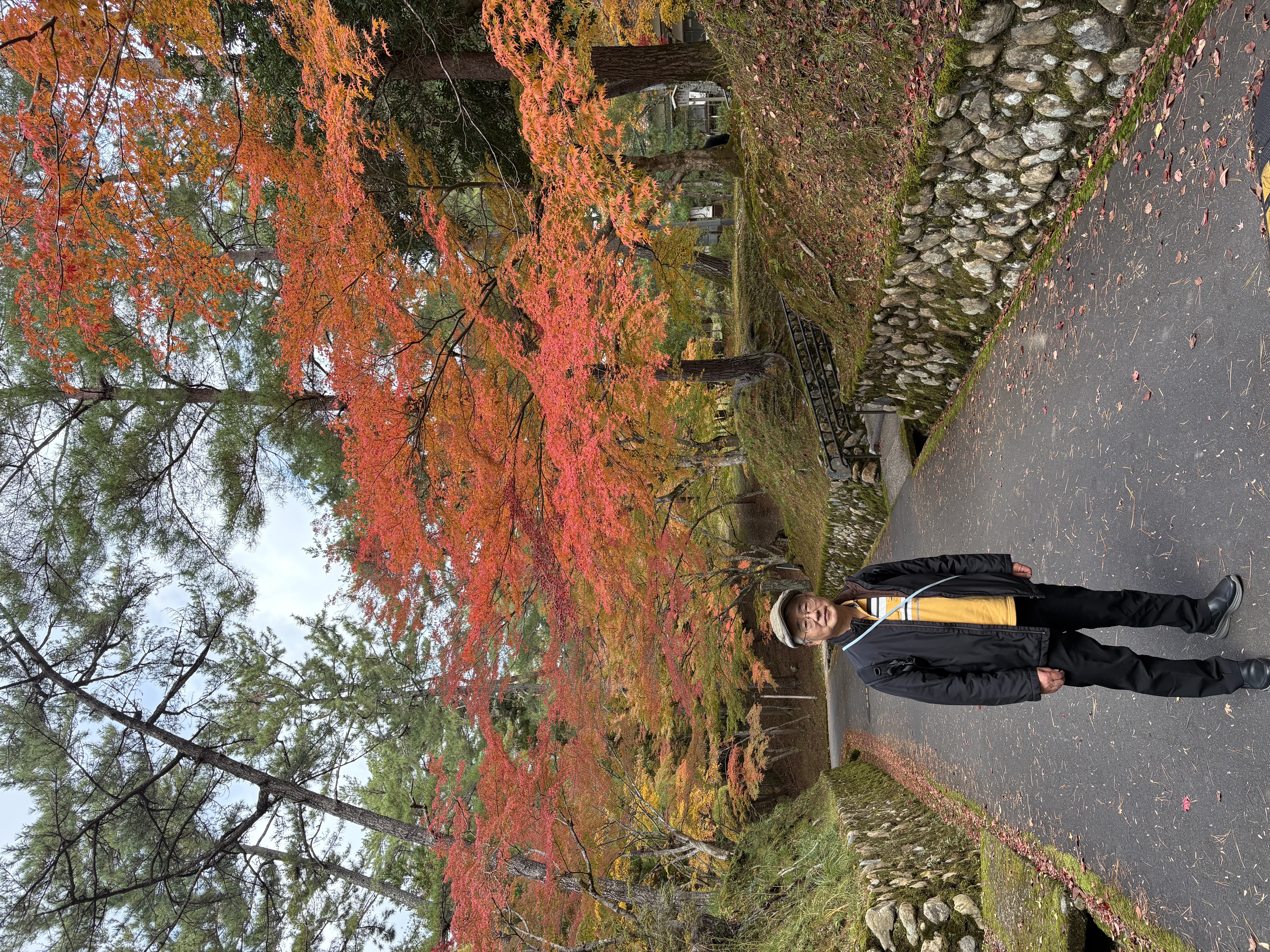 ファイル 2569-1.jpeg