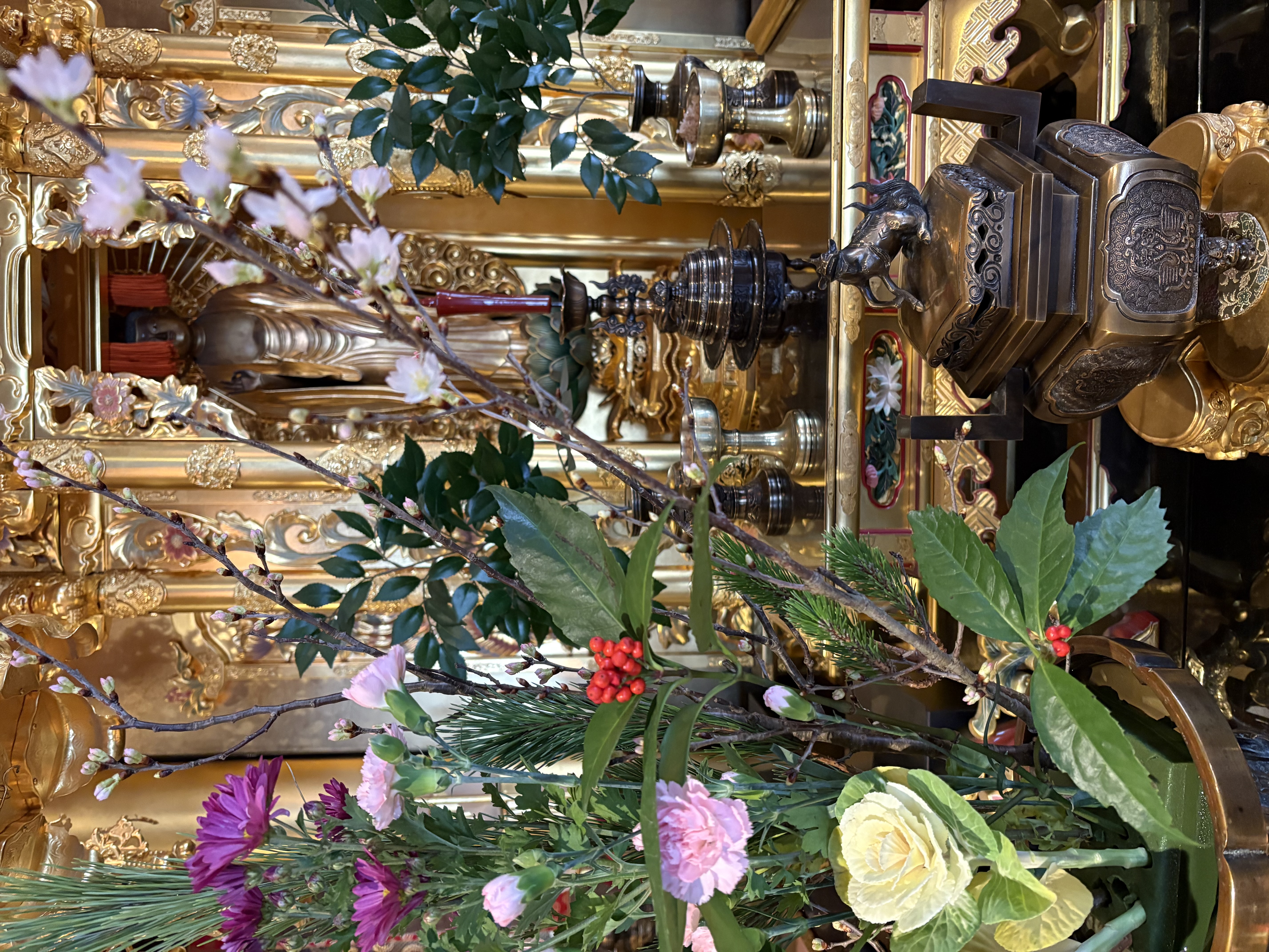 ファイル 2578-1.jpeg