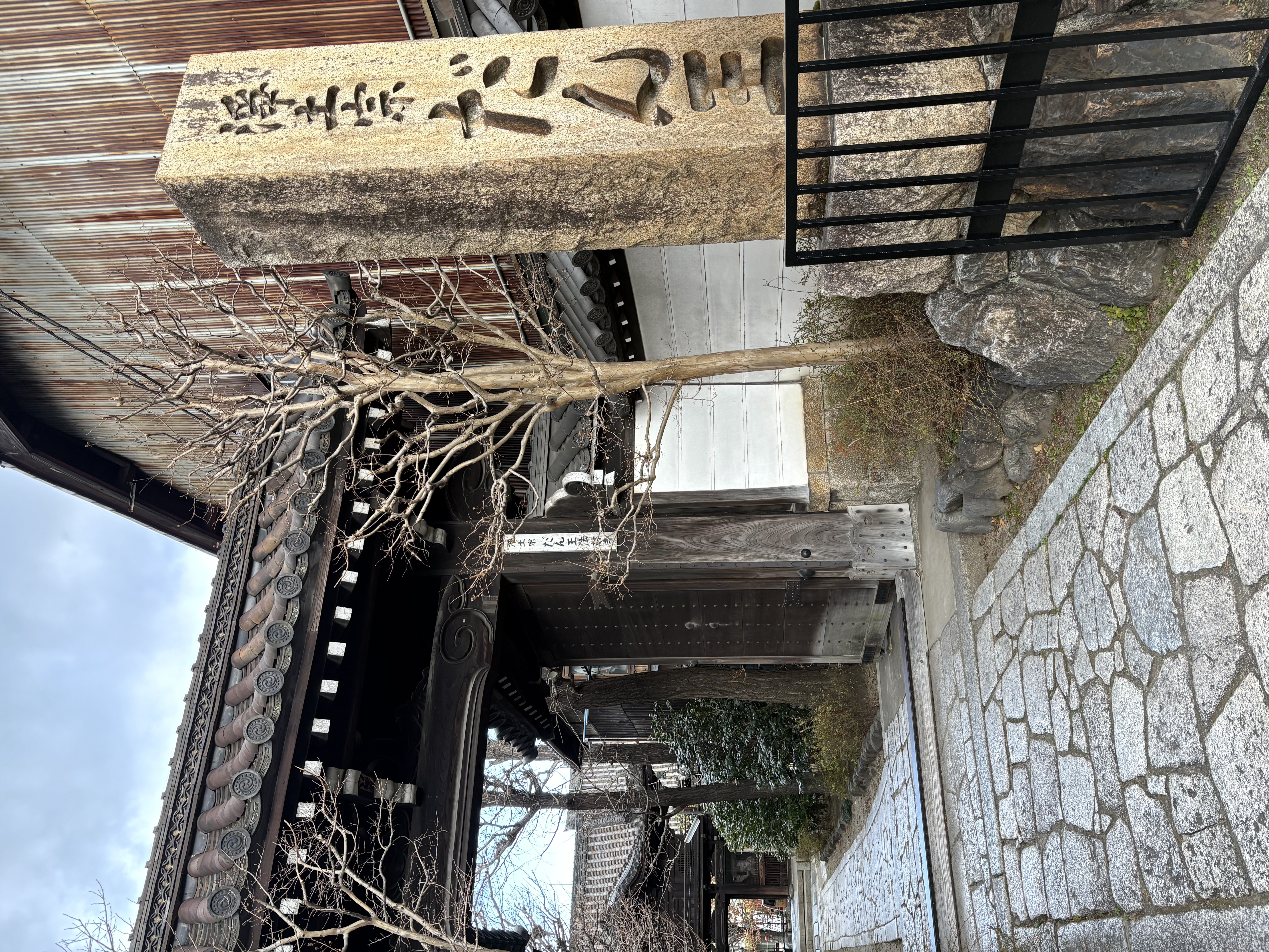 ファイル 2586-3.jpeg