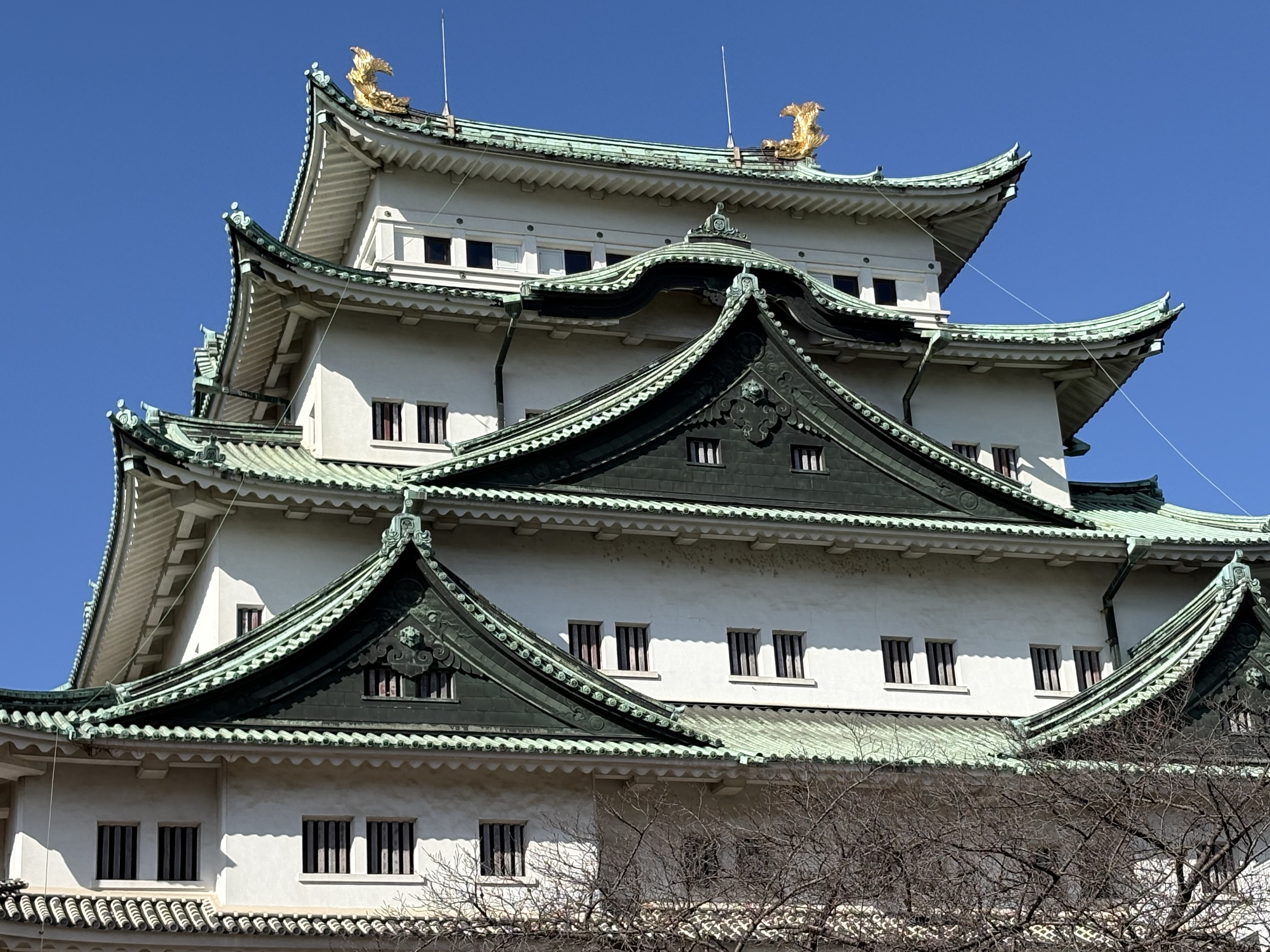 ファイル 2587-2.jpeg