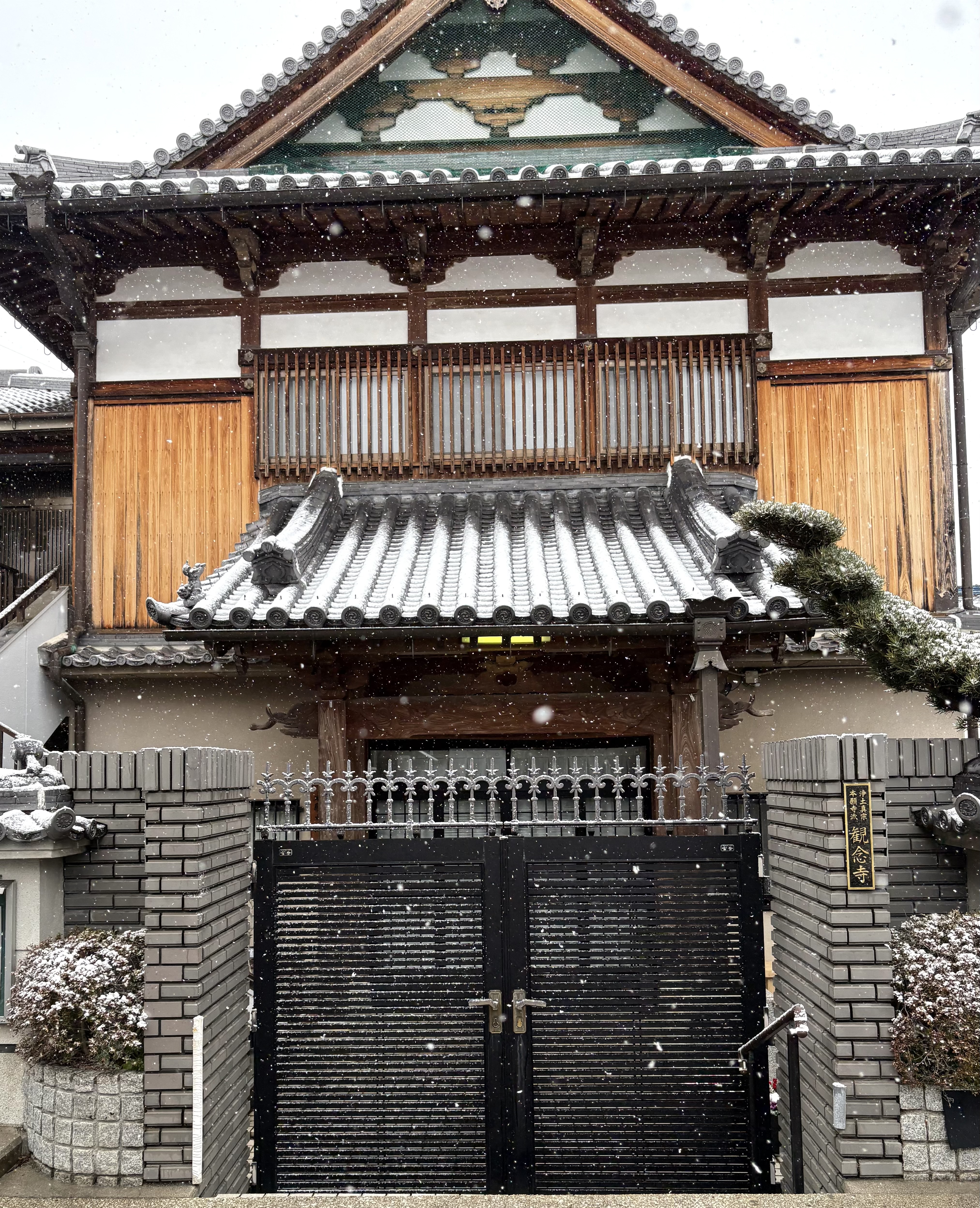 ファイル 2588-1.jpeg