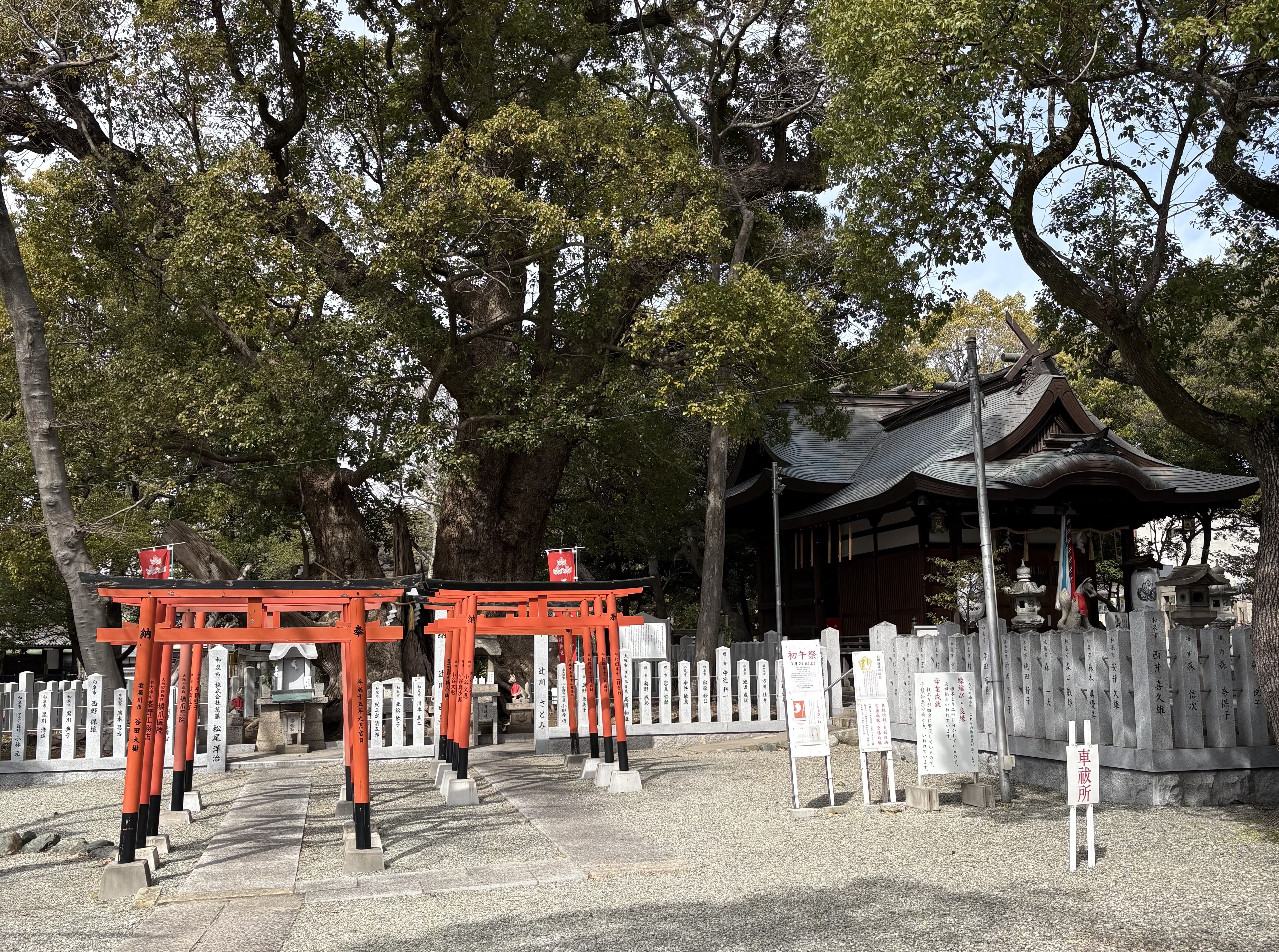 ファイル 2593-1.jpeg