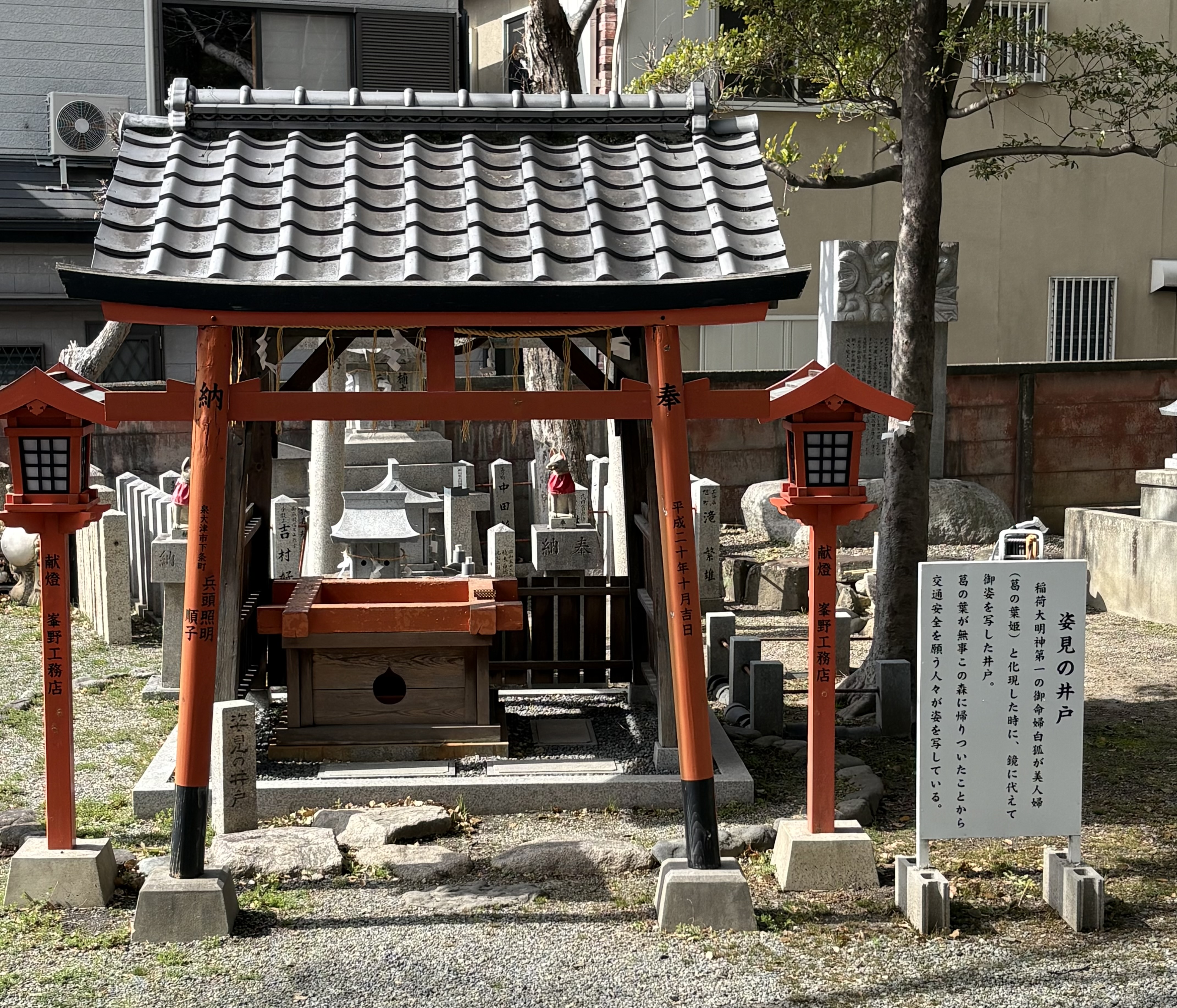 ファイル 2593-2.jpeg