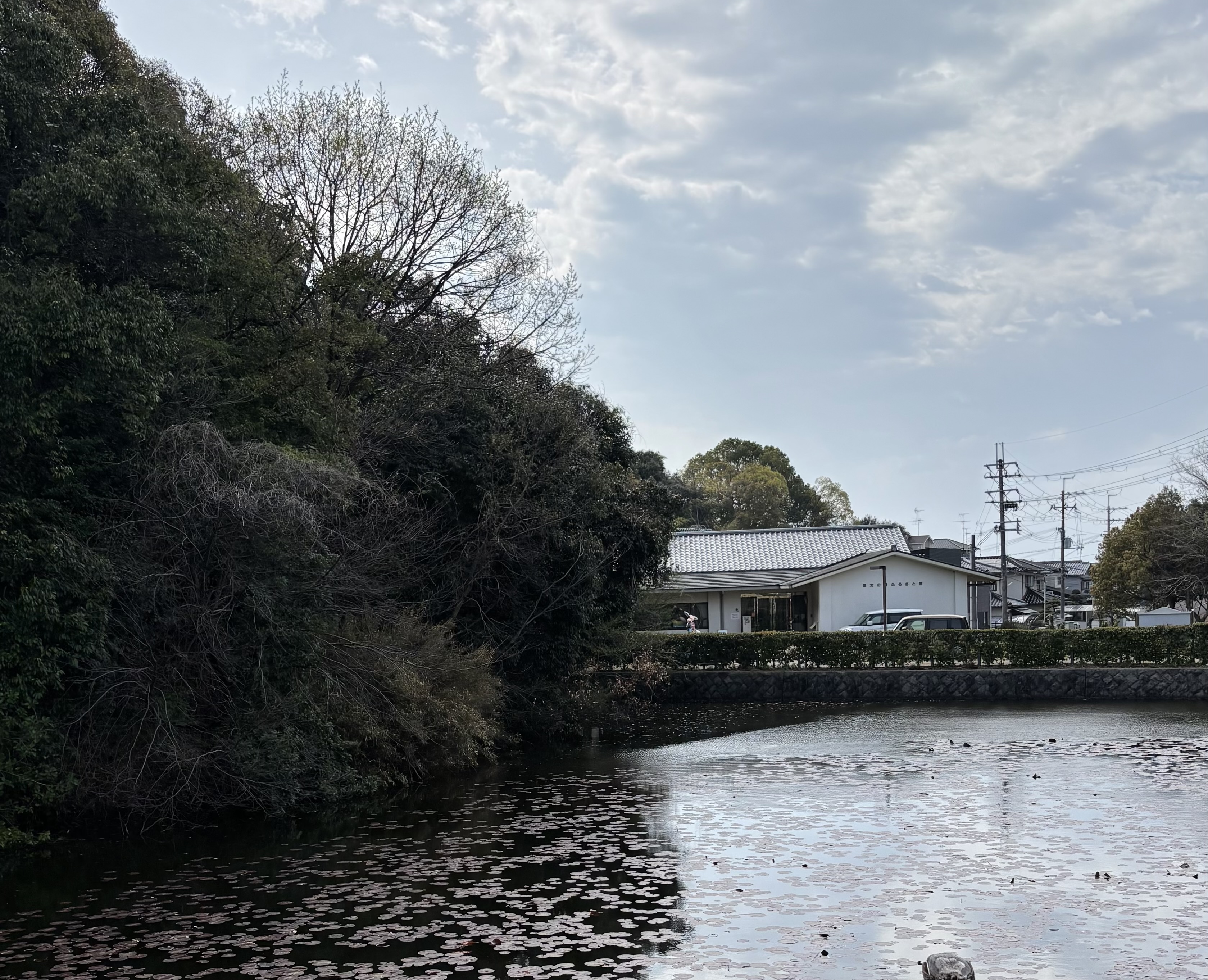 ファイル 2600-1.jpeg