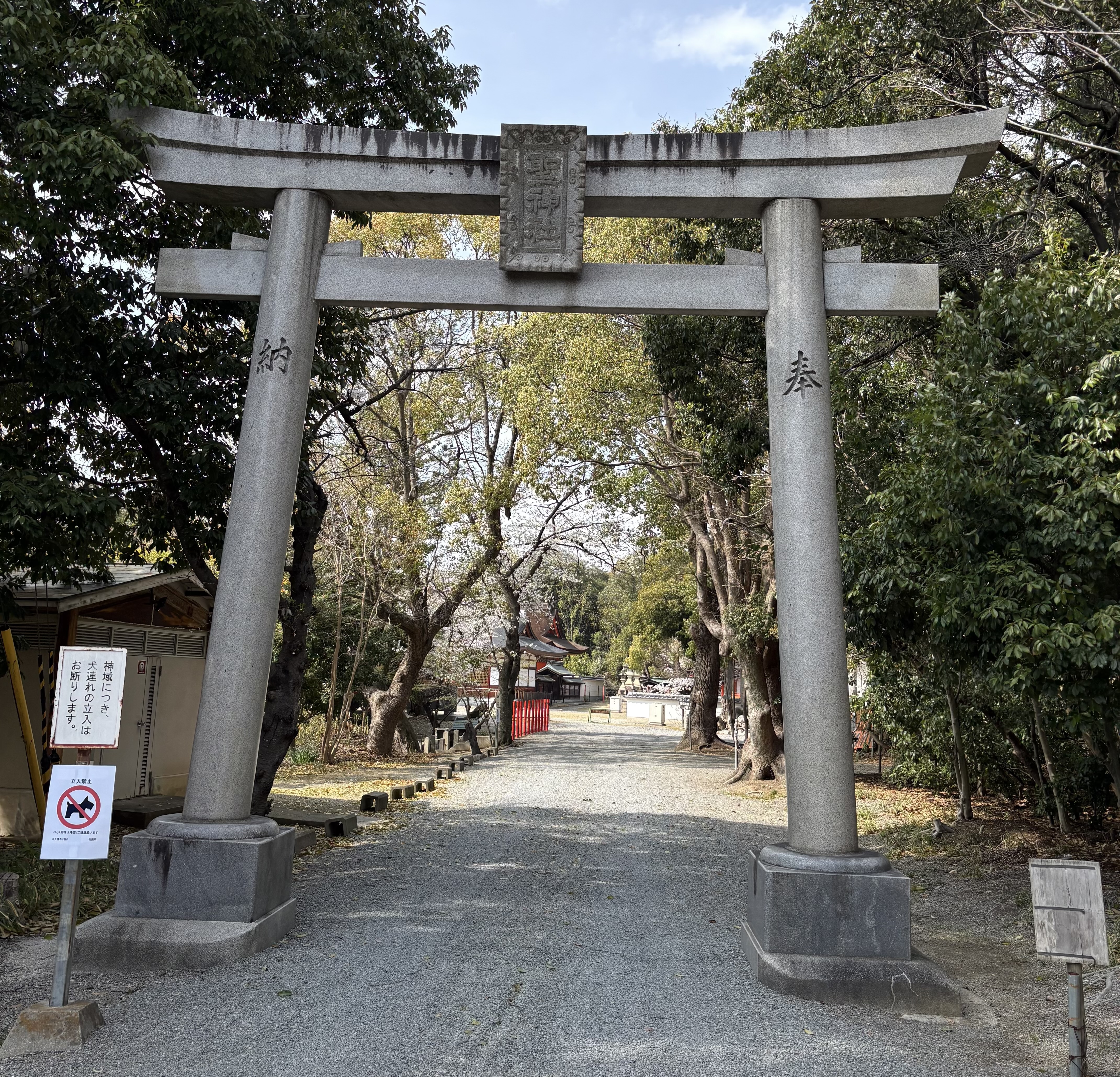 ファイル 2600-4.jpeg