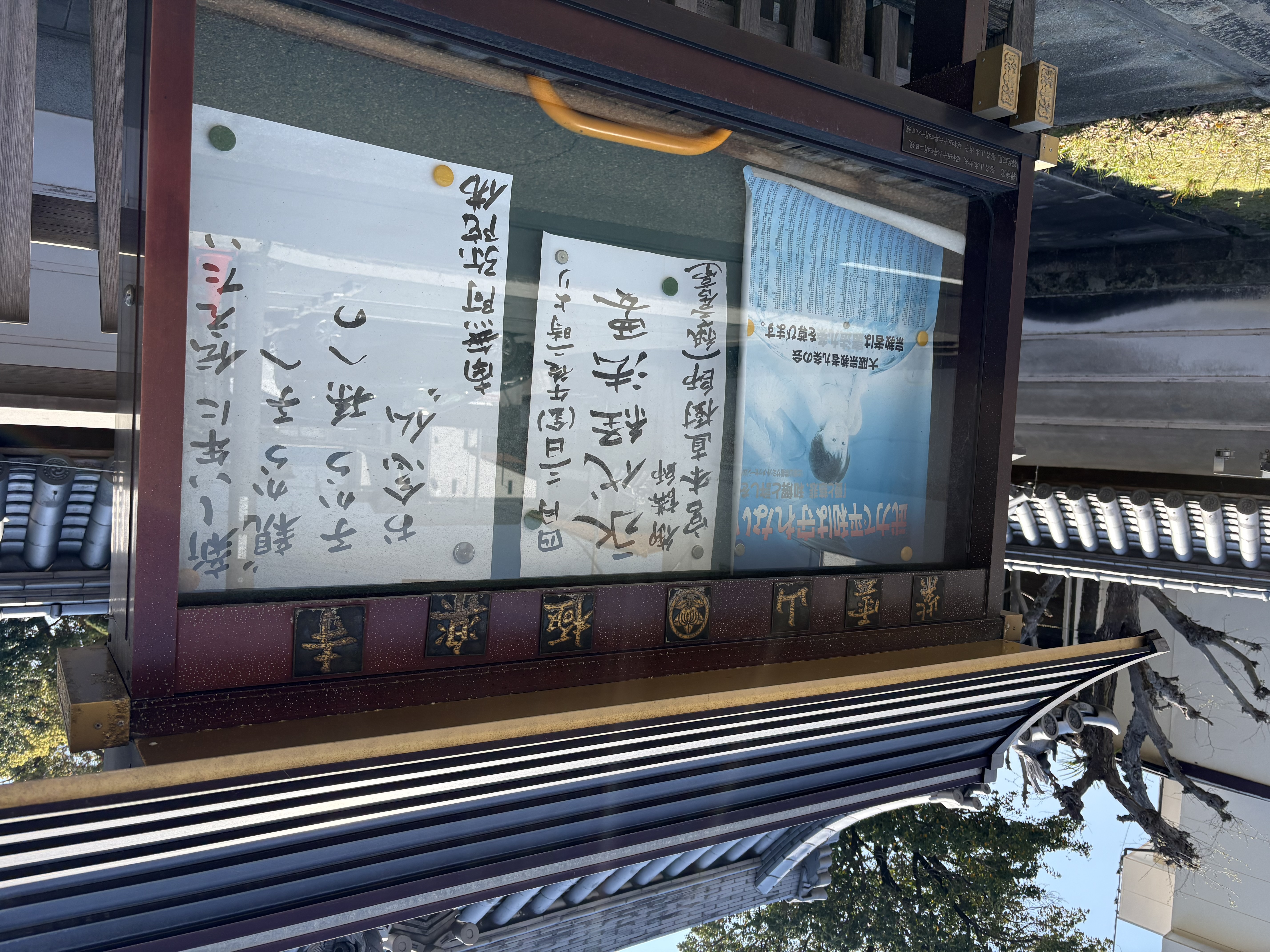 ファイル 2601-1.jpeg