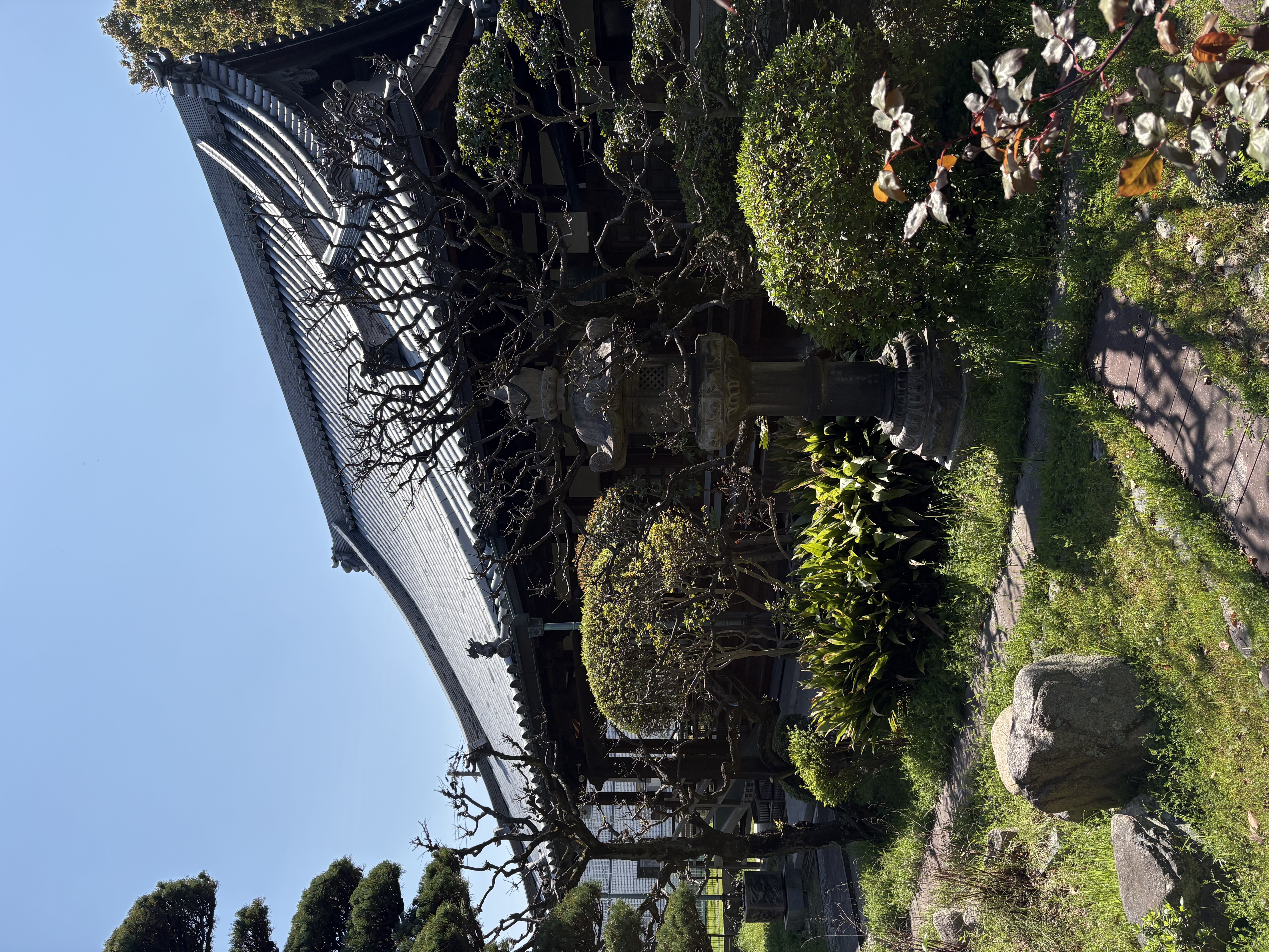 ファイル 2601-2.jpeg