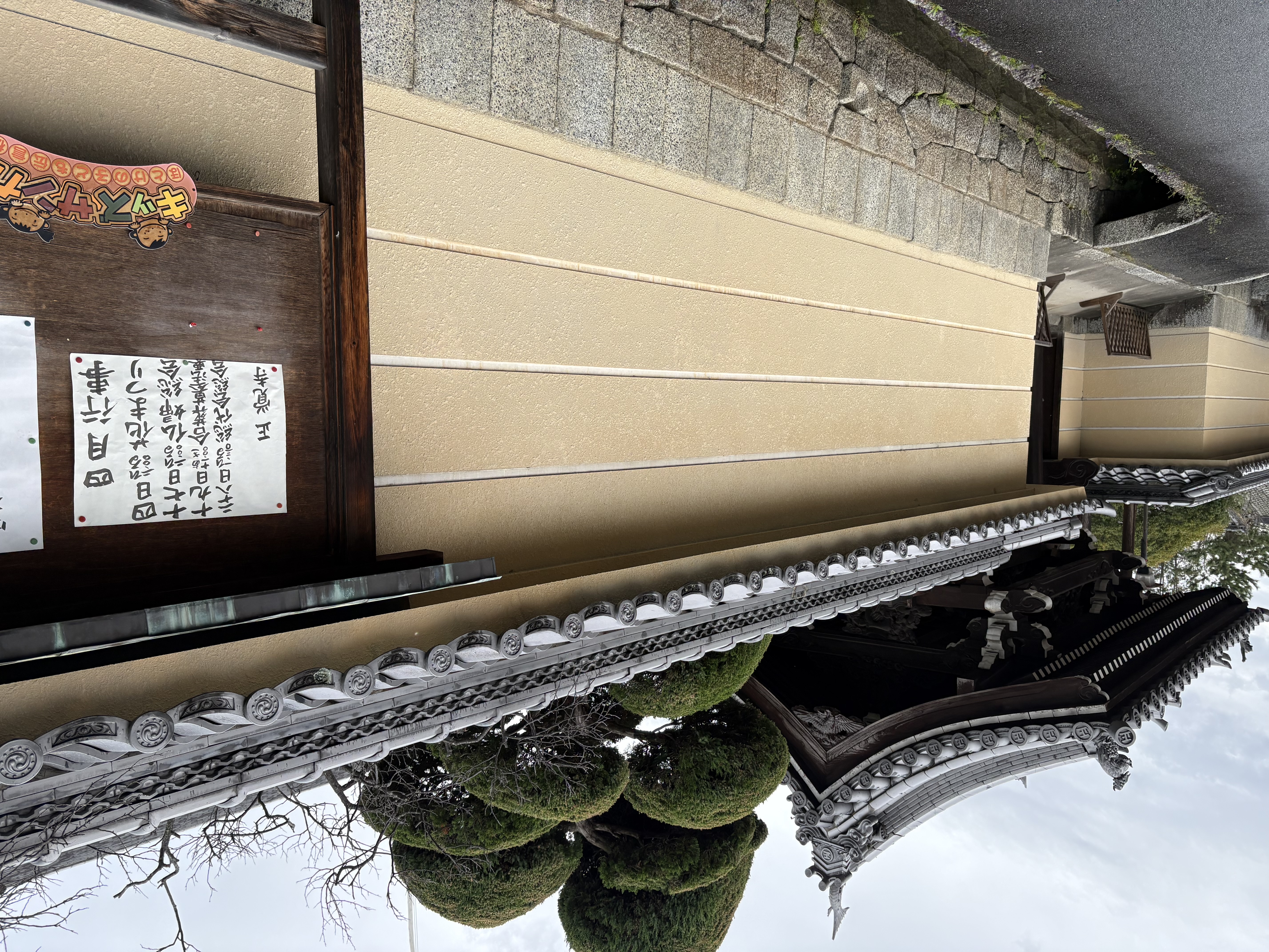 ファイル 2602-1.jpeg