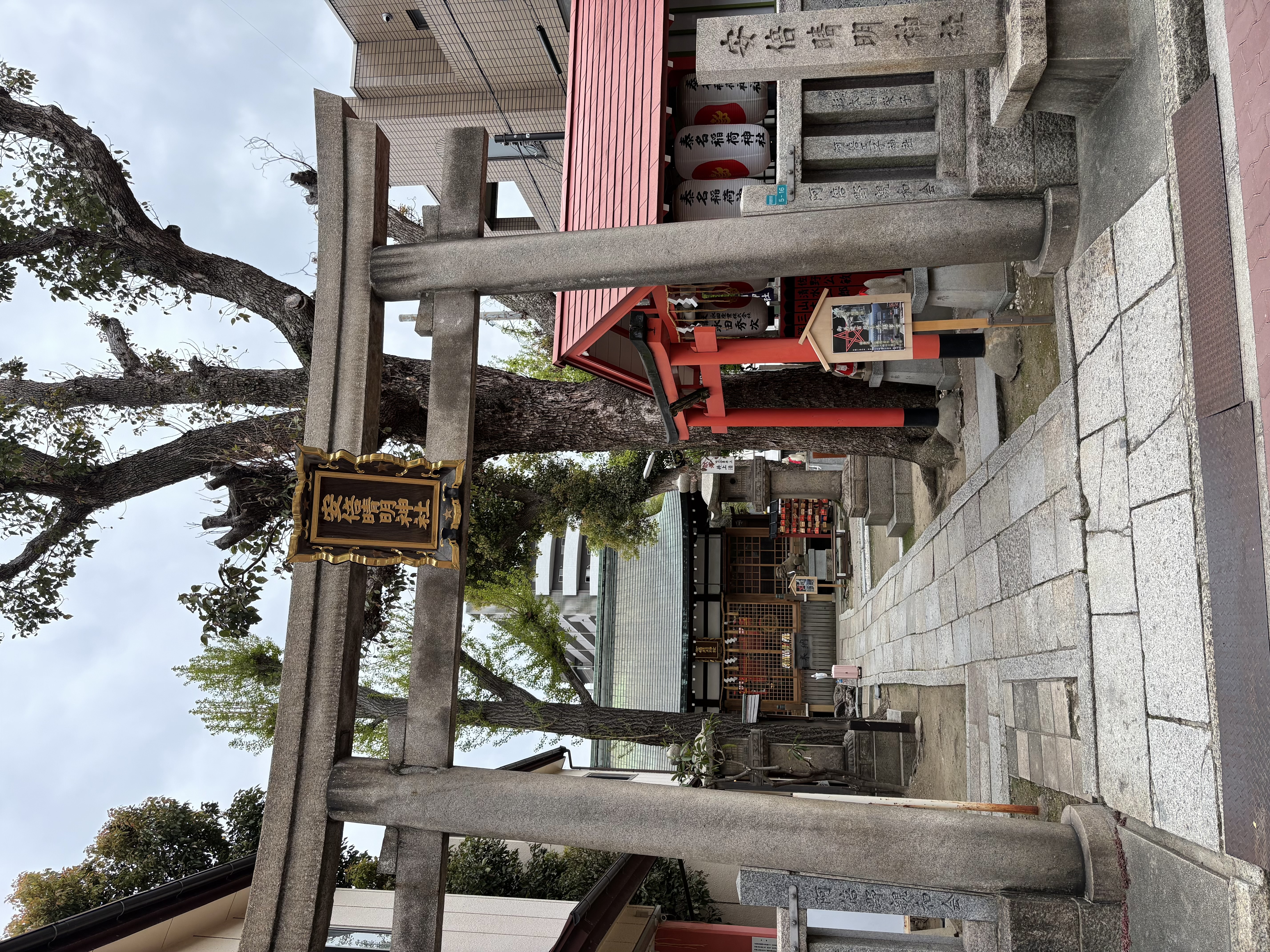 ファイル 2603-1.jpeg