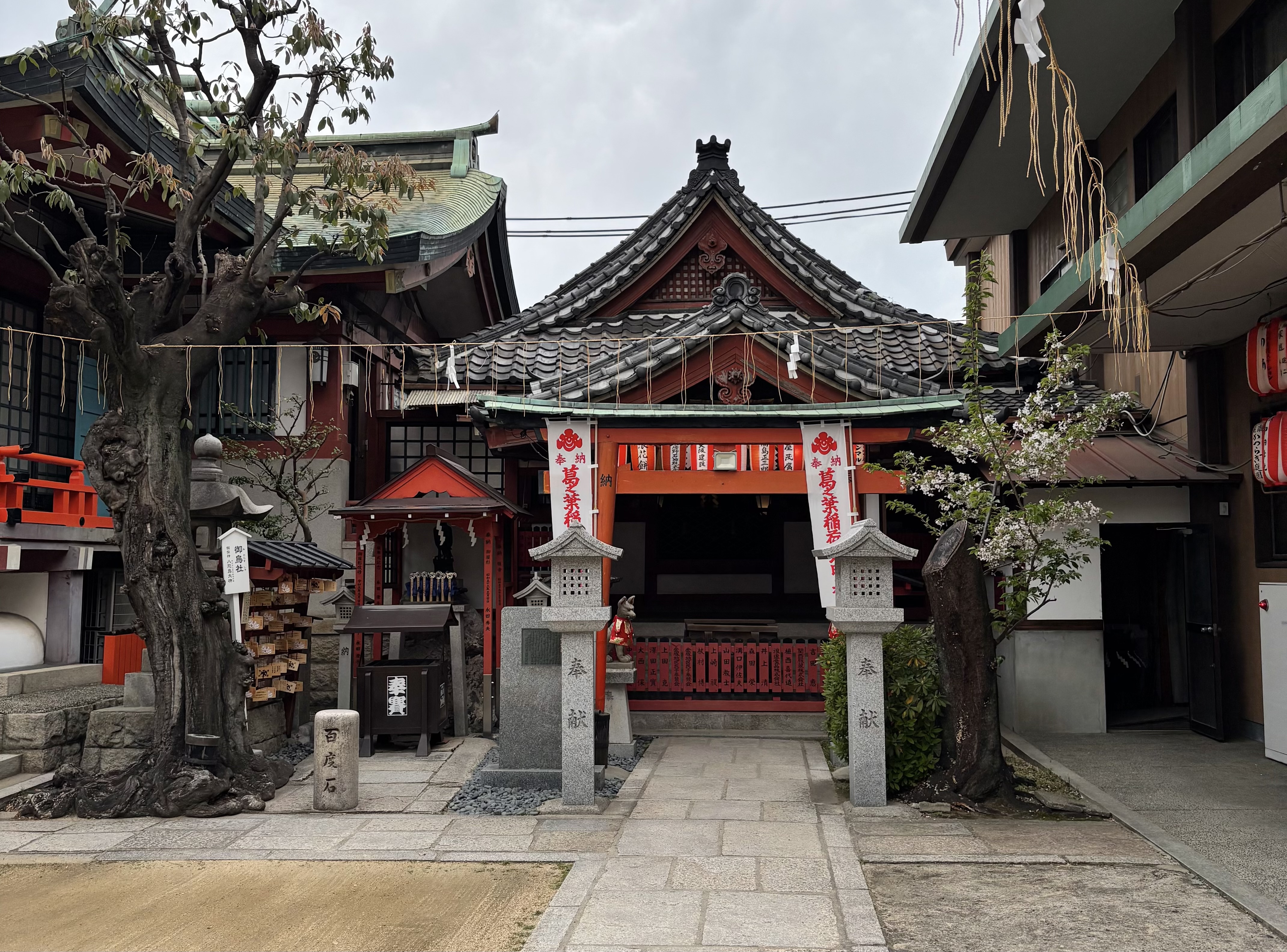 ファイル 2603-3.jpeg